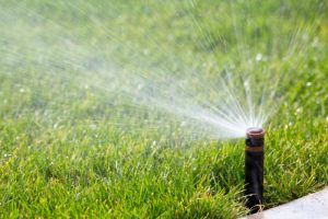 High quality lawn treatment services in your area lawn treatment